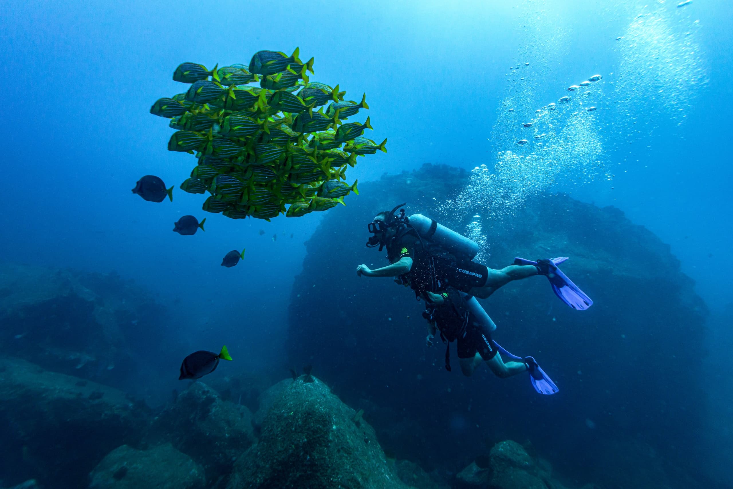 Full-Day Excursion to Isla Jacques Costeau: Two Dives and Island Beaches from Cabo San Lucas photo 2