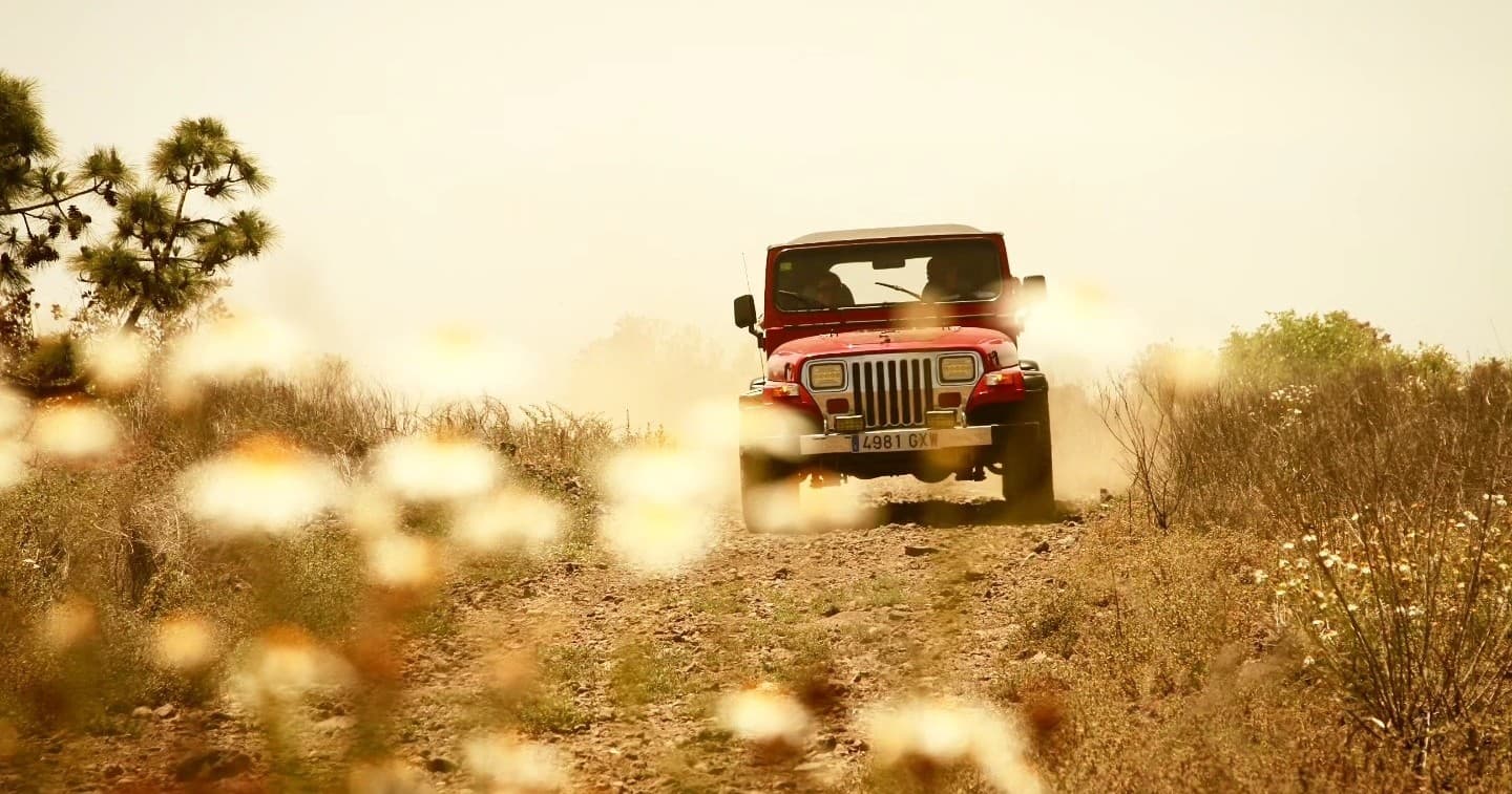 Jeep driving through wildflower field with shallow focus
