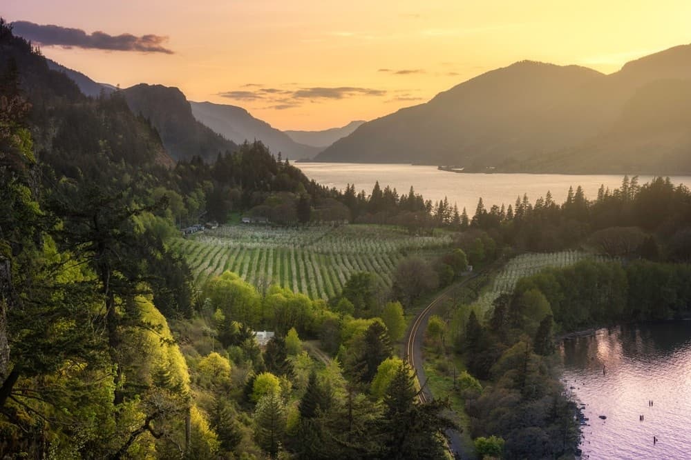Water Activities & Land Adventures with First Nature Tours in Columbia Gorge