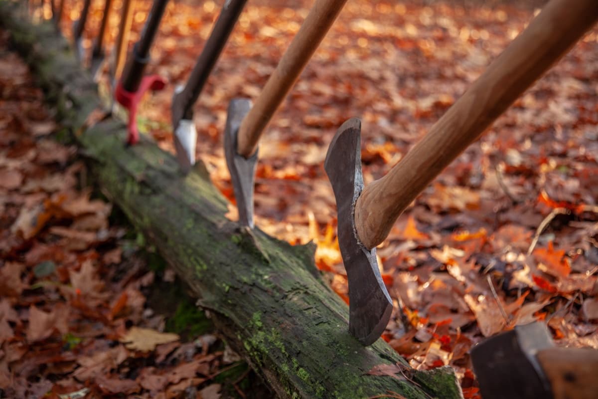 Axe Craft on Dutch Heath: Safe Splitting and Carving Workshop Near Loosdrecht photo 2