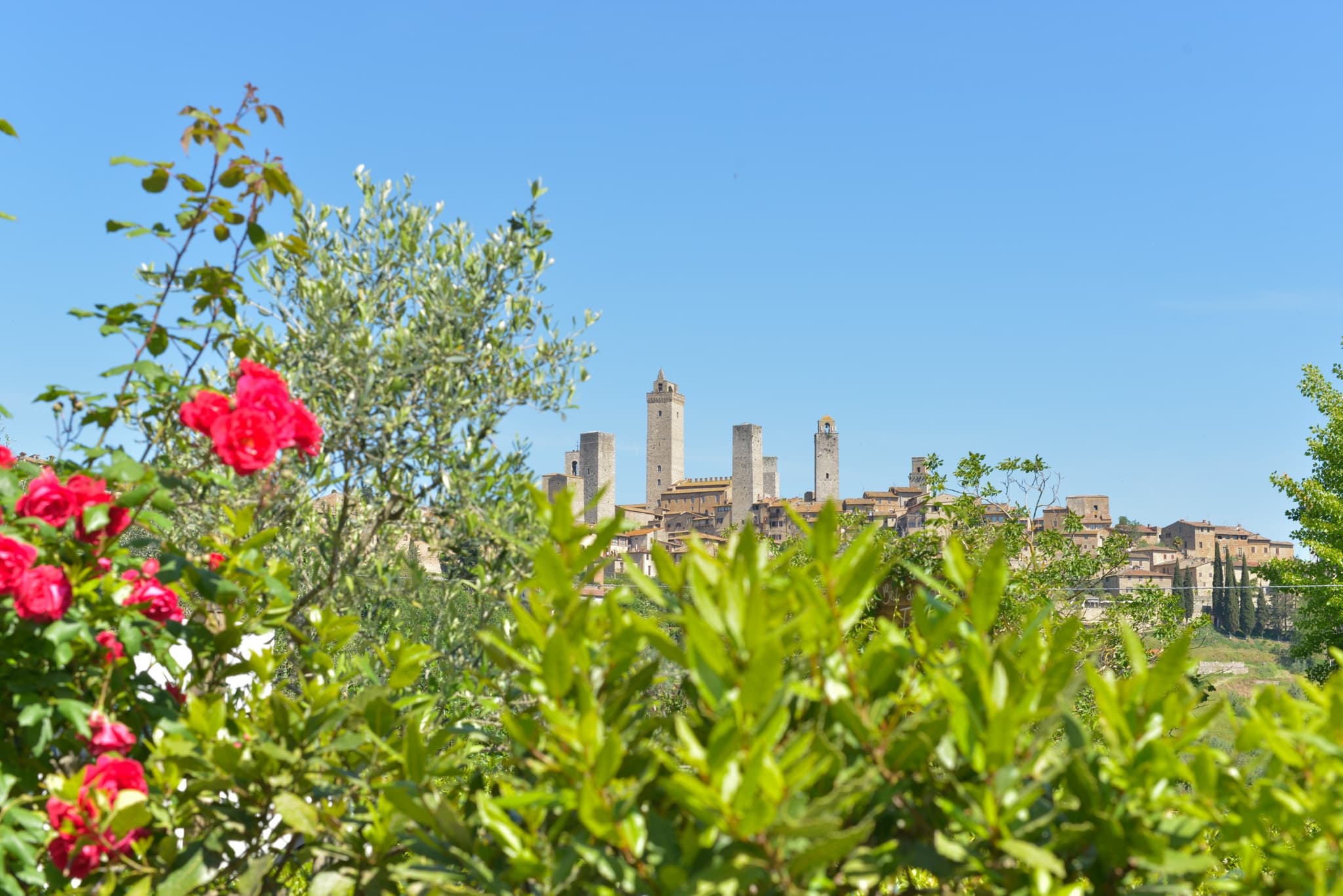 Tuscany Food & History Tour with Tuscany 4 Explore