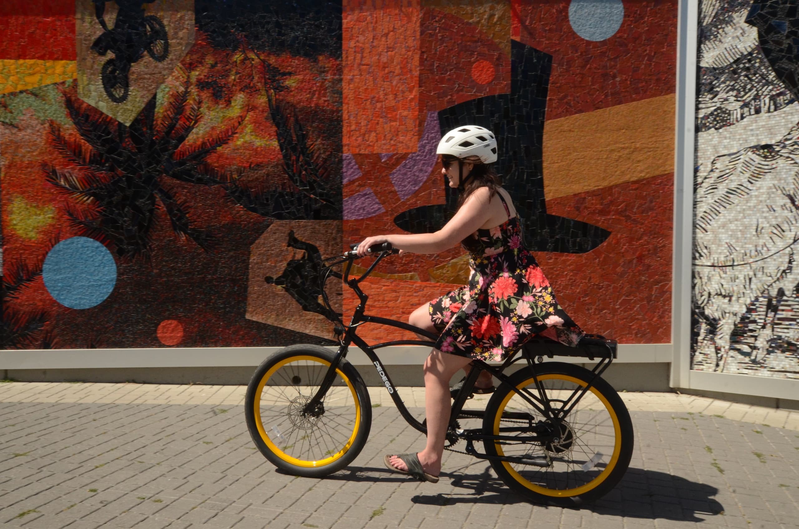 2 Hour (Quick Spin) E-Bike Rental
