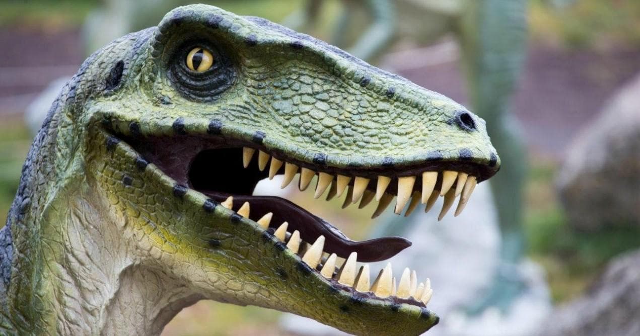 Wildlife-Nature & National Dinosaur Museum: A Dinosaur Adventure Near Canberra