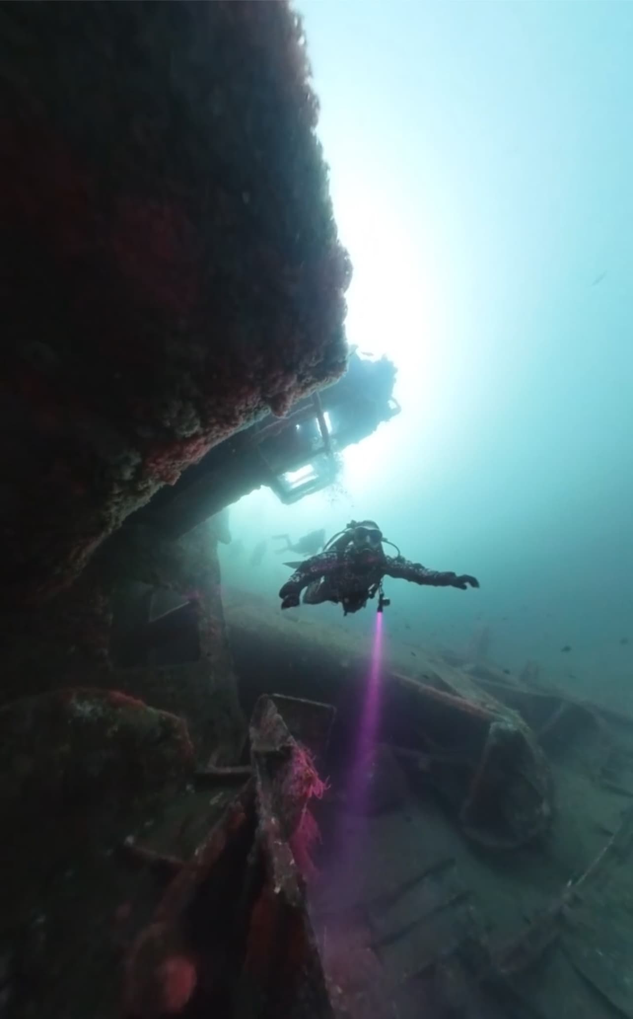 Advanced Scuba Diving with Odyssea Adventures in San Diego