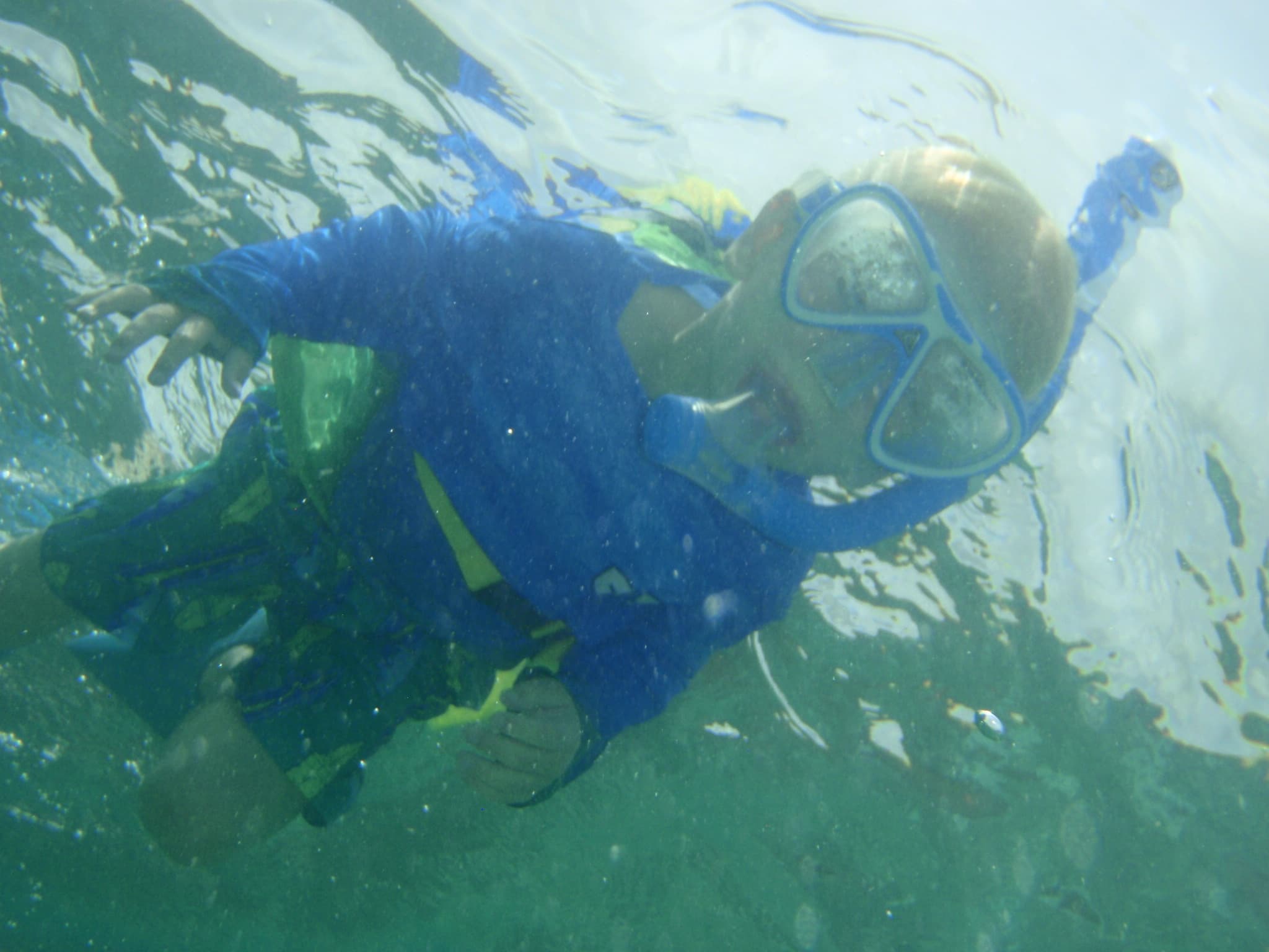 Looe Key Snorkeling & Wreck Trolling by The Borden Company