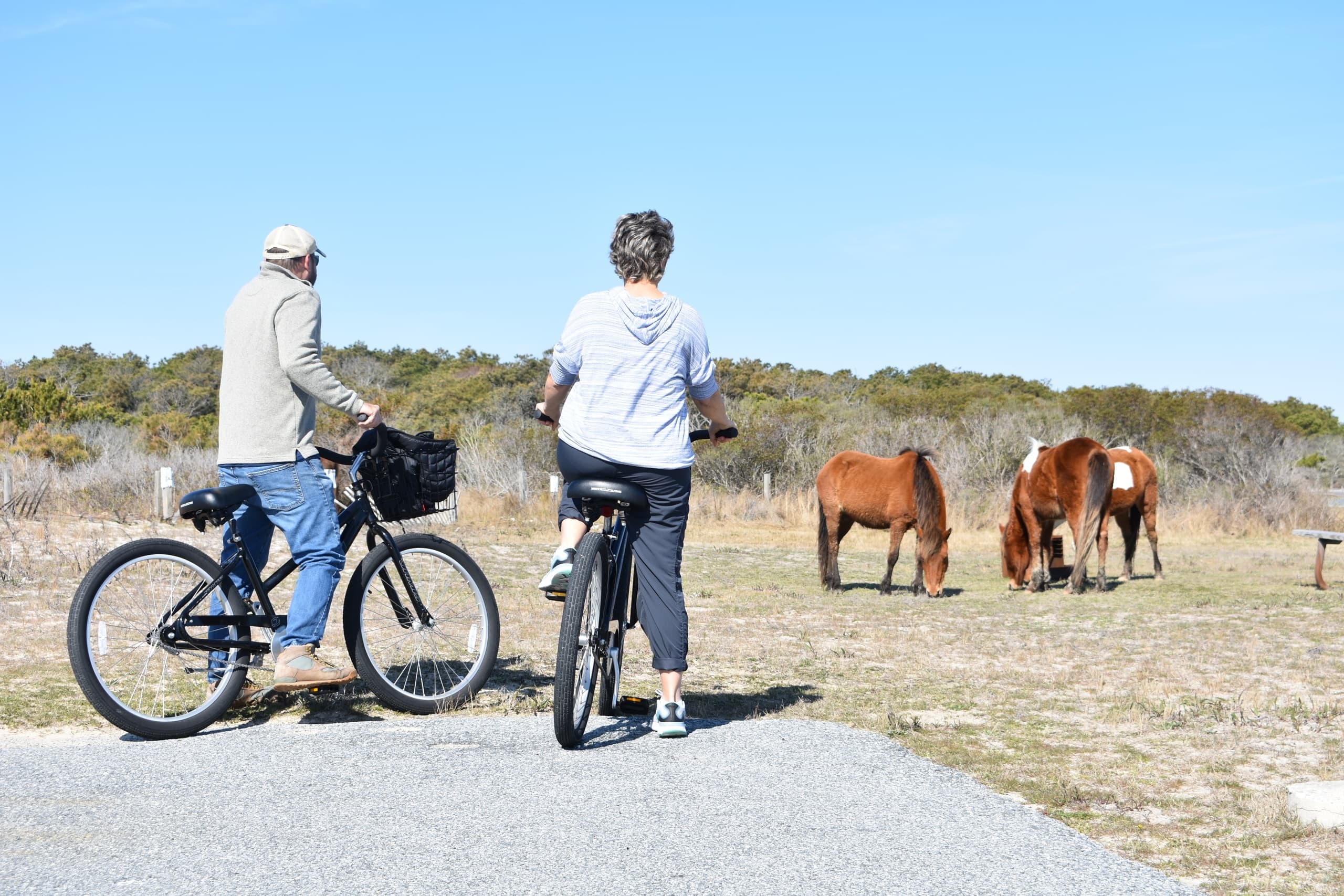 Overnight 24H Bike Rental in Assateague Island, Maryland