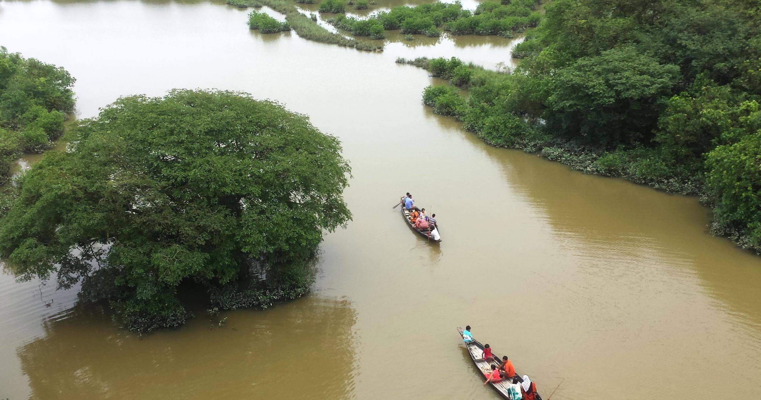Canoes paddling along brown bayou river during guided swamp tour