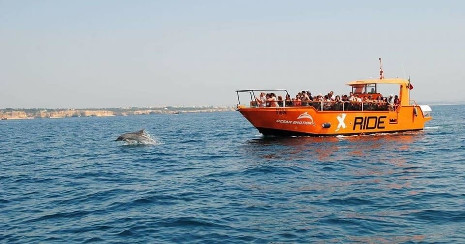 Explore Algarve’s Stunning Benagil Caves and Dolphin Safari on a 2.5-Hour Coastal Cruise