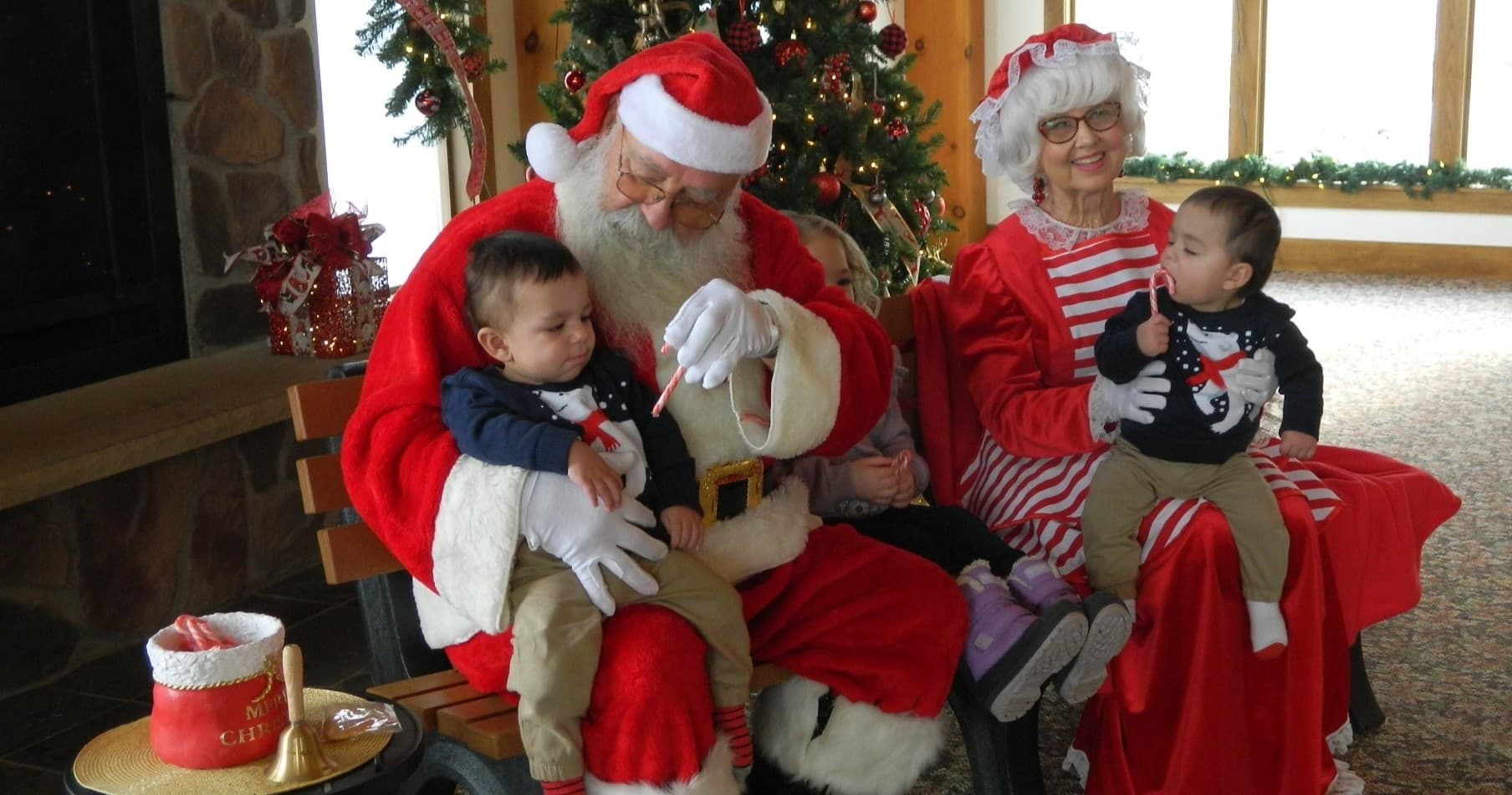 Winter Wildlife & Festive Tours at Hidden Valley Animal Adventure