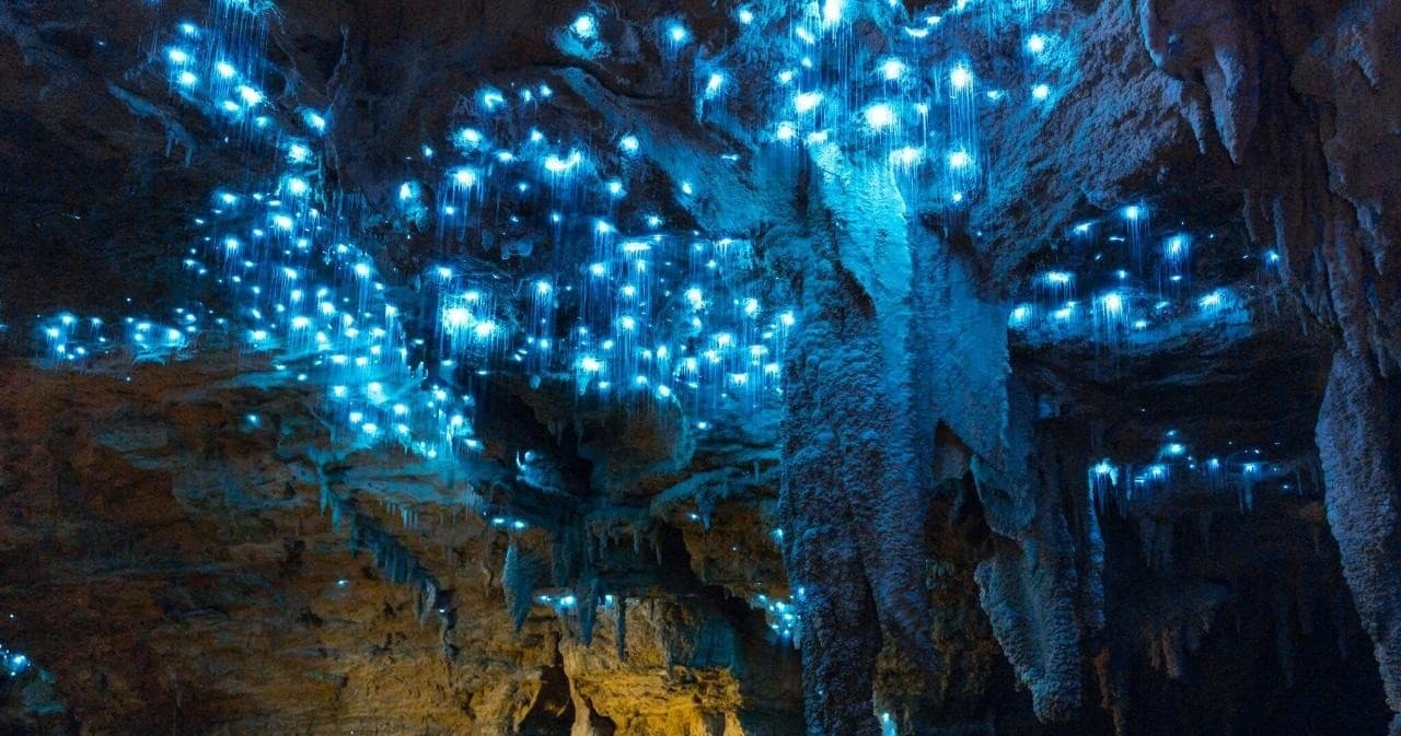Land Adventures: Auckland’s Hobbit & LOTR Tour by TIME Unlimited Tours
