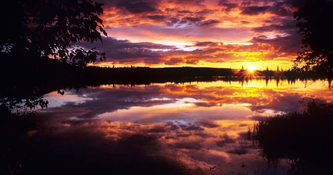 Midnight Sun Photo Excursion