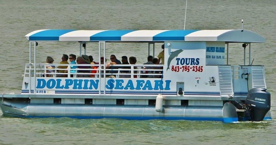 Donuts with Dolphins Aboard Dolphin Seafari | Guided Tour in Hilton Head Island | Boat Tour, Water Activities, Dolphin