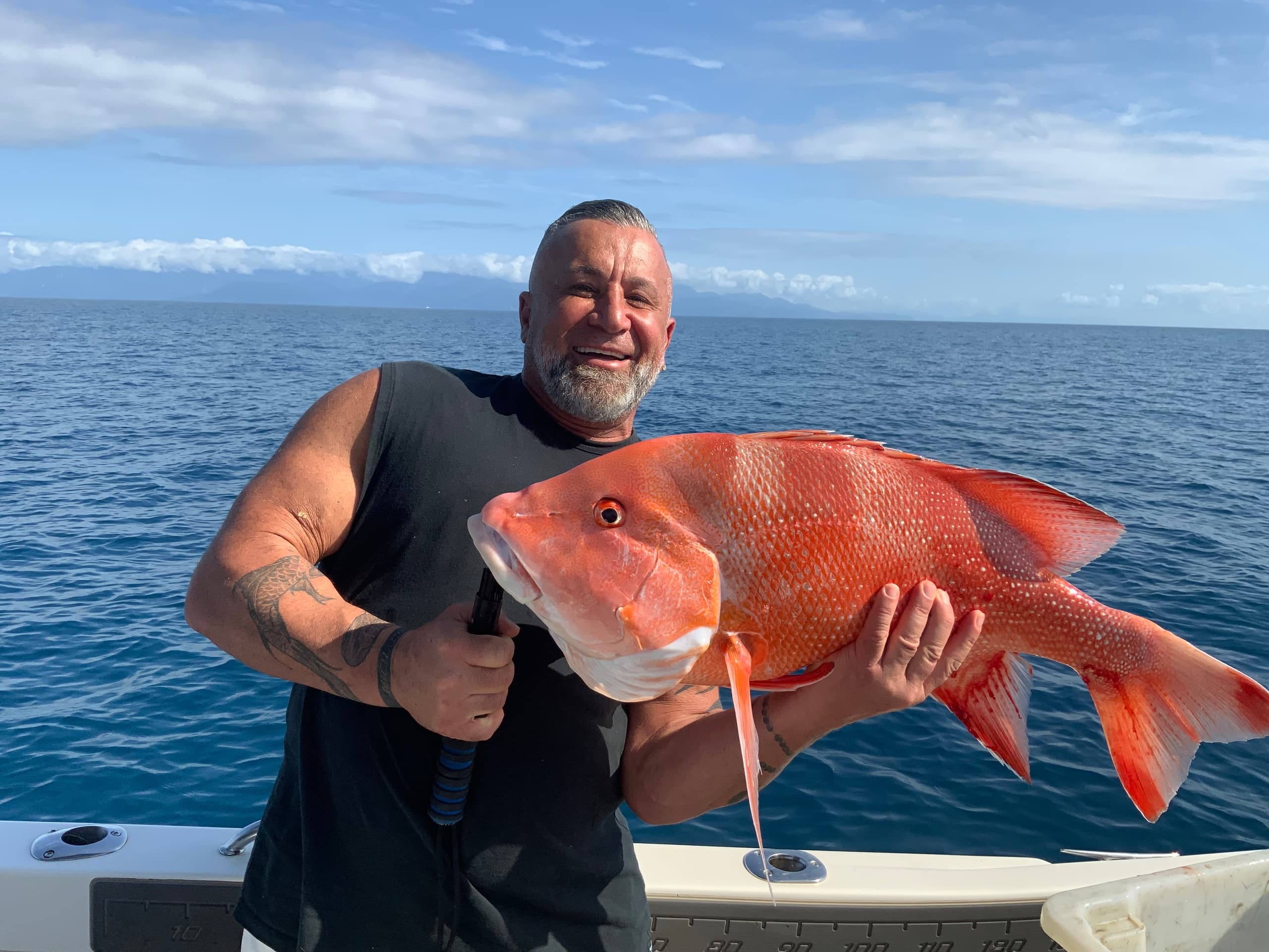 Port Douglas Sportfishing fleet
