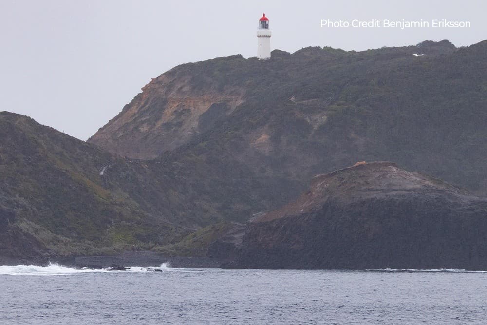 Mornington Peninsula Whale Cruise: Whale Watching from Stony Point Jetty photo 1