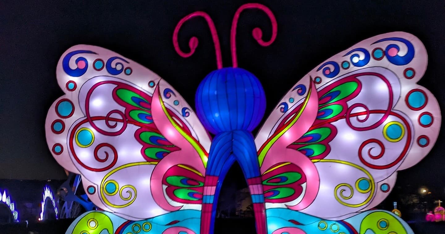 SeaLight Festival Train: Nighttime Art Ride from Grand Junction Depot to Sculpture Fields photo 2
