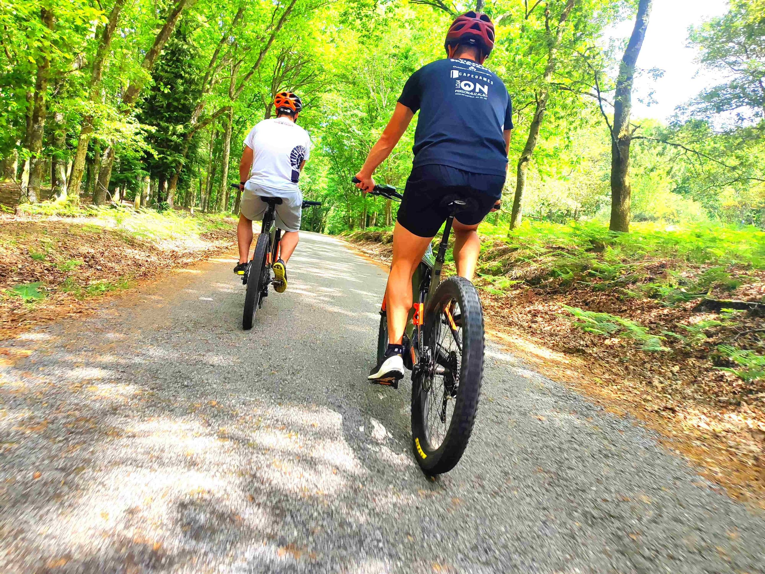 Mountain biking on shaded forest trail with riders in motion