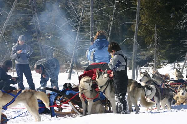 Experience the Ultimate Dogsledding Adventure in Eagle Lake, Ontario