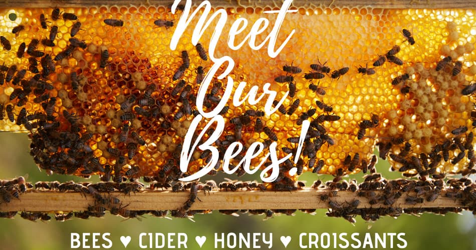 Two Hives Honey fleet