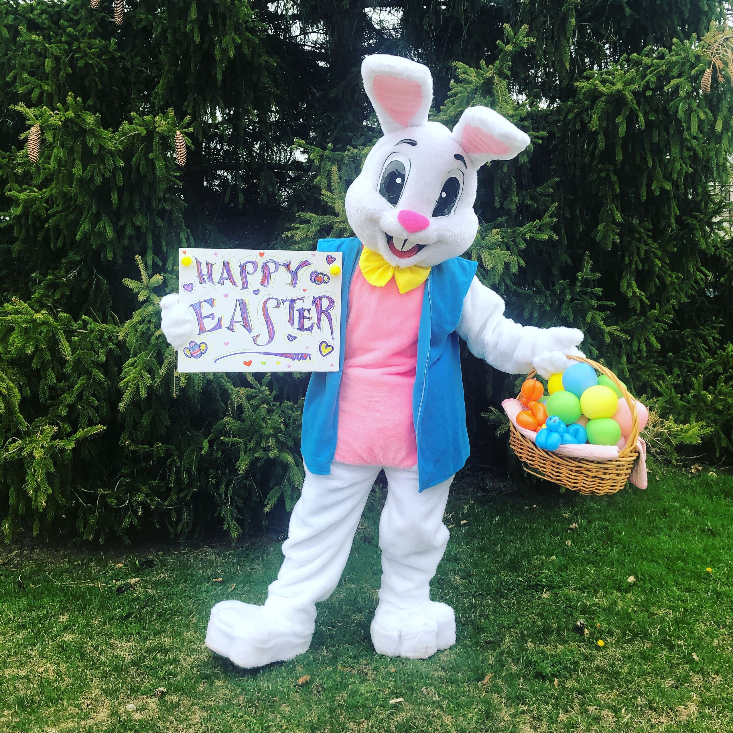 Bring the Easter Bunny to Your Toronto Party: Mascot Appearances for Kids