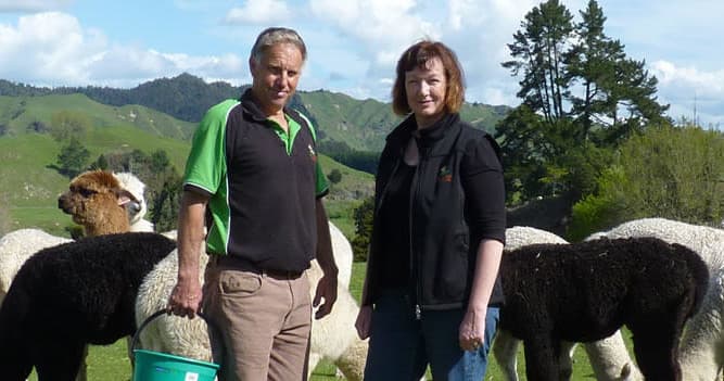 Farm hosts standing with alpacas in pasture against hills