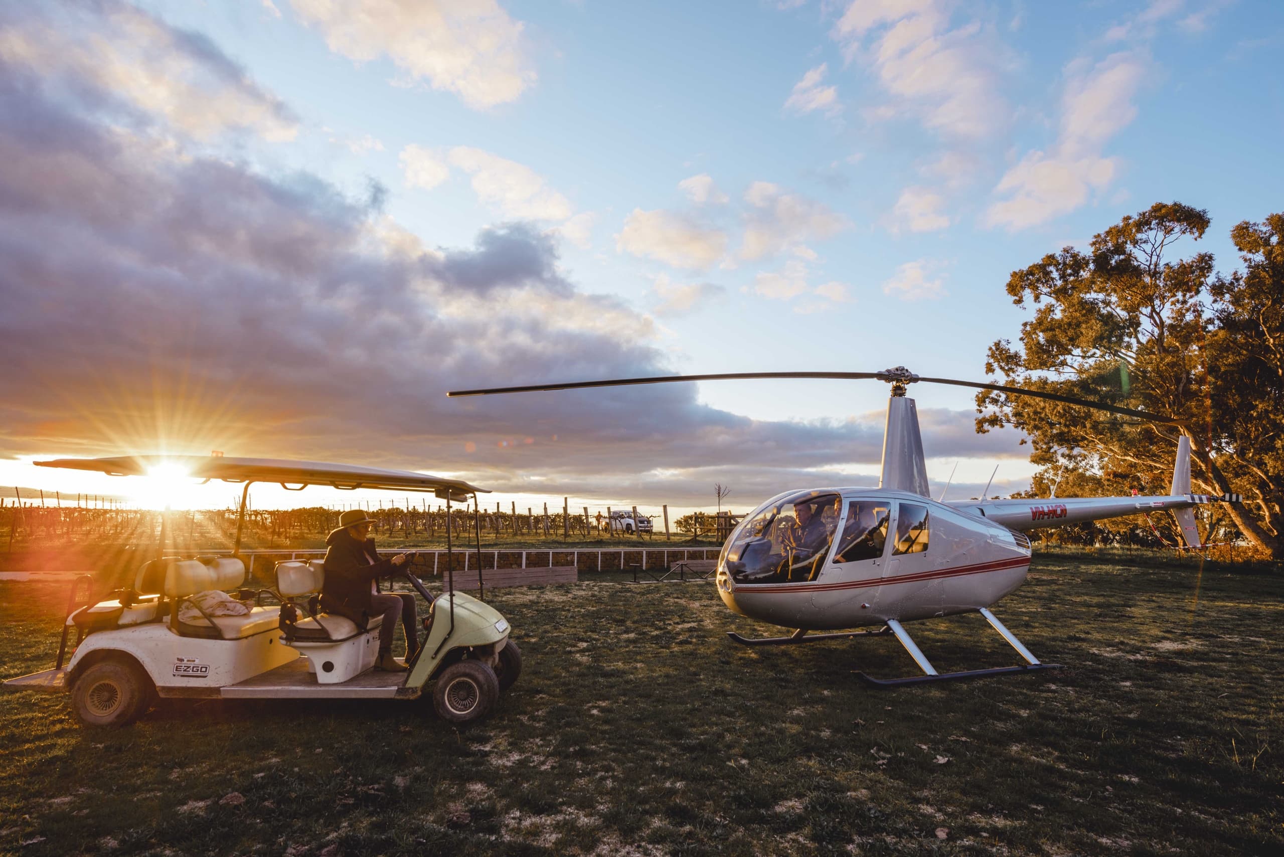 Heli Wine Tasting & Picnic at Heifer Station Wines