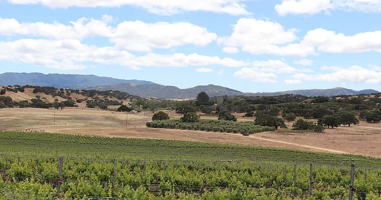 Villa Wine Tours team