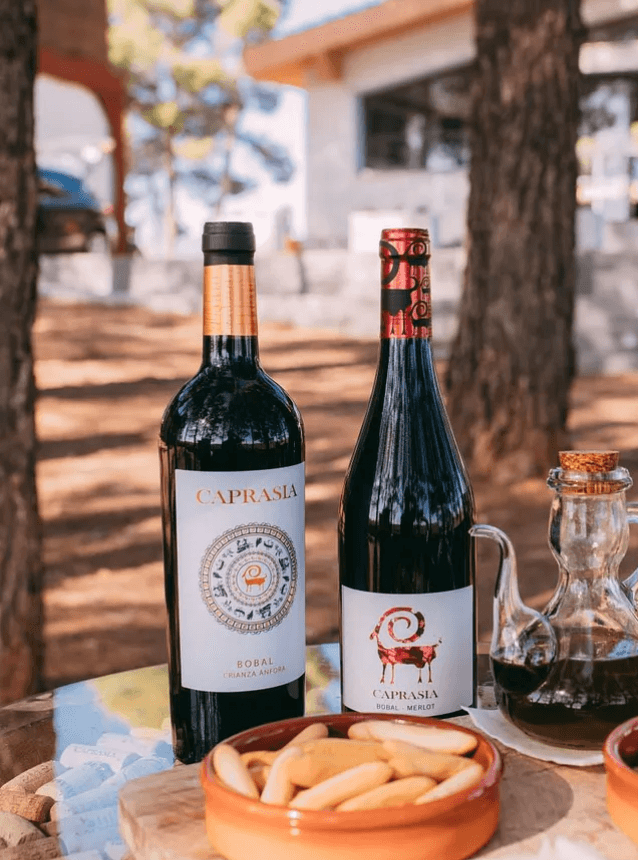 Bodegas Vegalfaro fleet