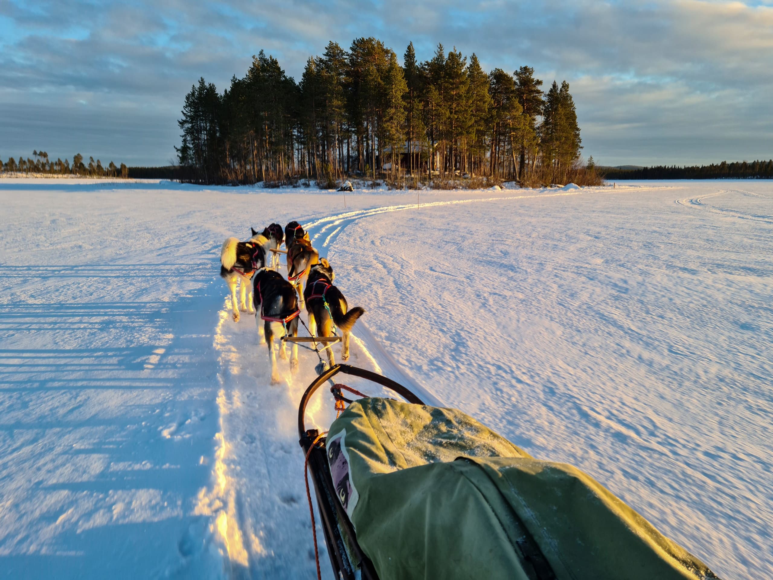 Dogsled team mushing across snowy plain with island ahead