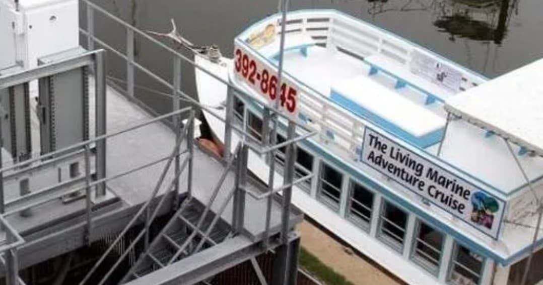Inshore Fishing Adventure with Biloxi Fishing Trip