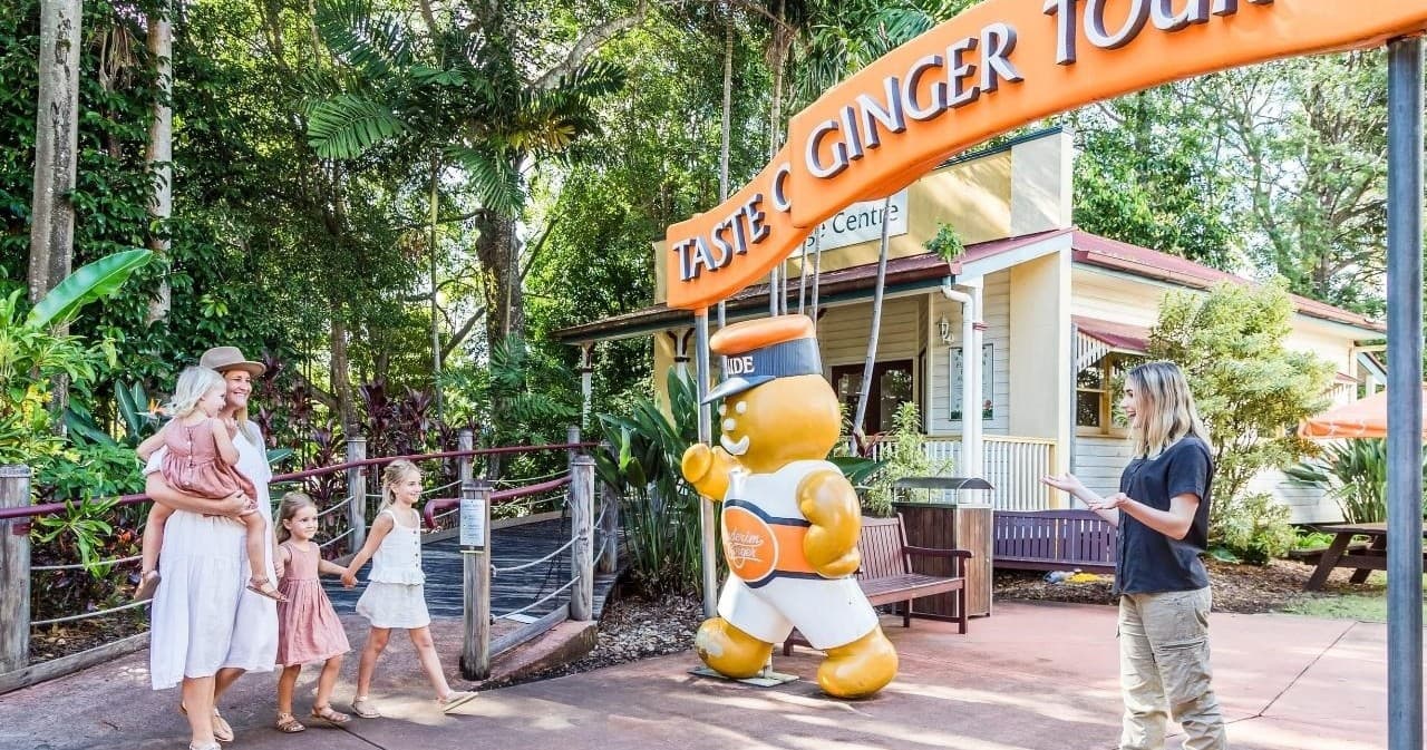 Outdoor Adventure with Sunshine Coast Hinterland & Ginger Factory