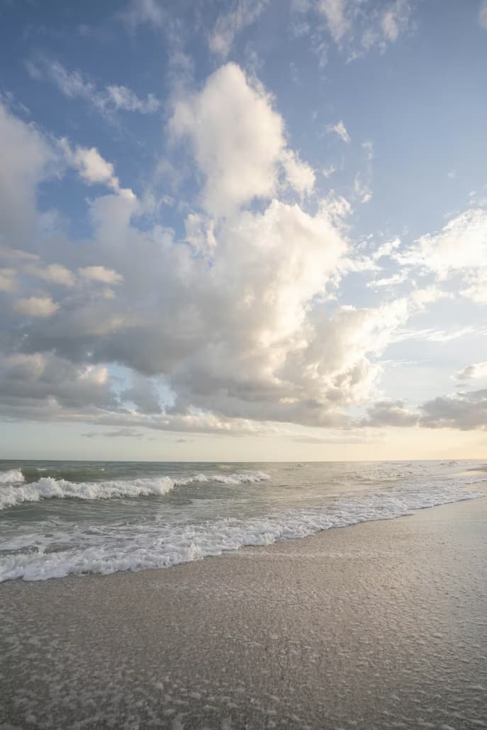 Private Ten Thousand Islands Charter from Goodland — Manatees, Dolphins, Mangroves