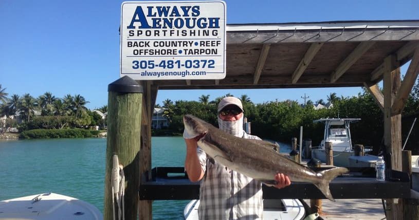Captain holding large kingfish at dockside with marina sign