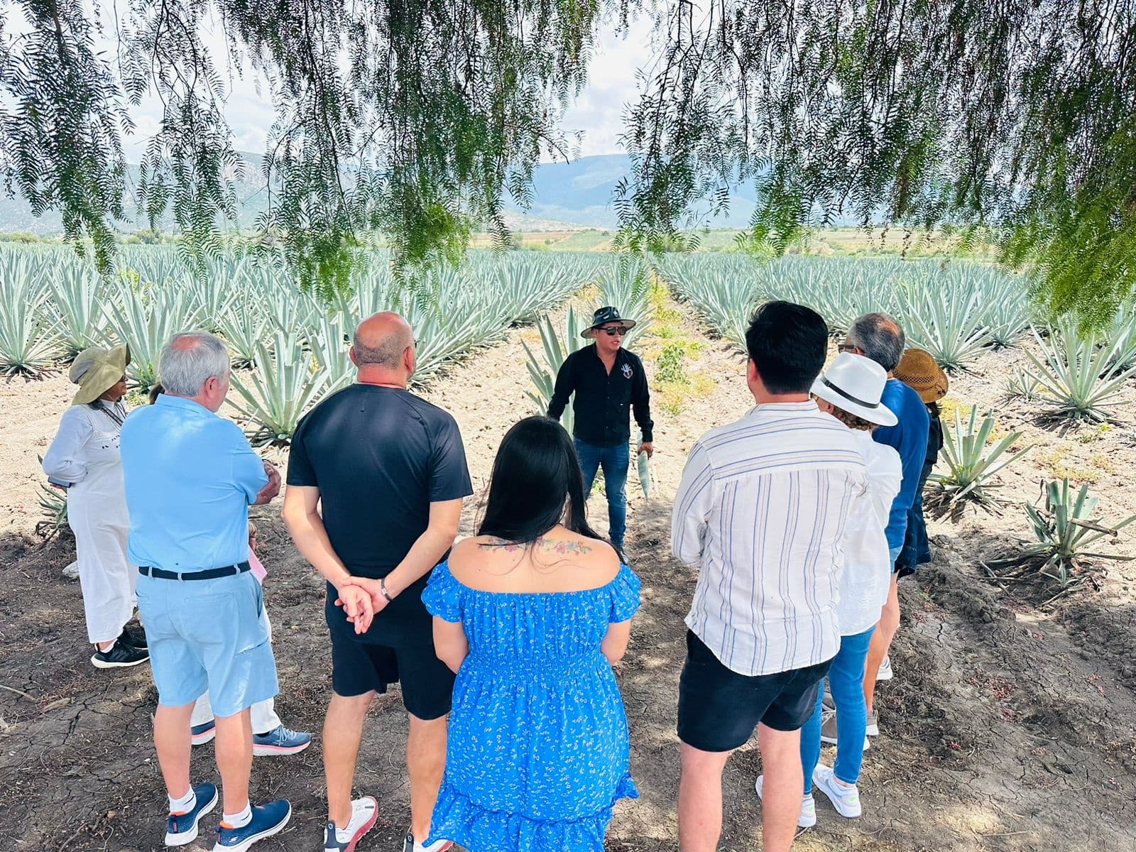 Cultural & Food Tours with Mezcal Oaxaqueño in Oaxaca