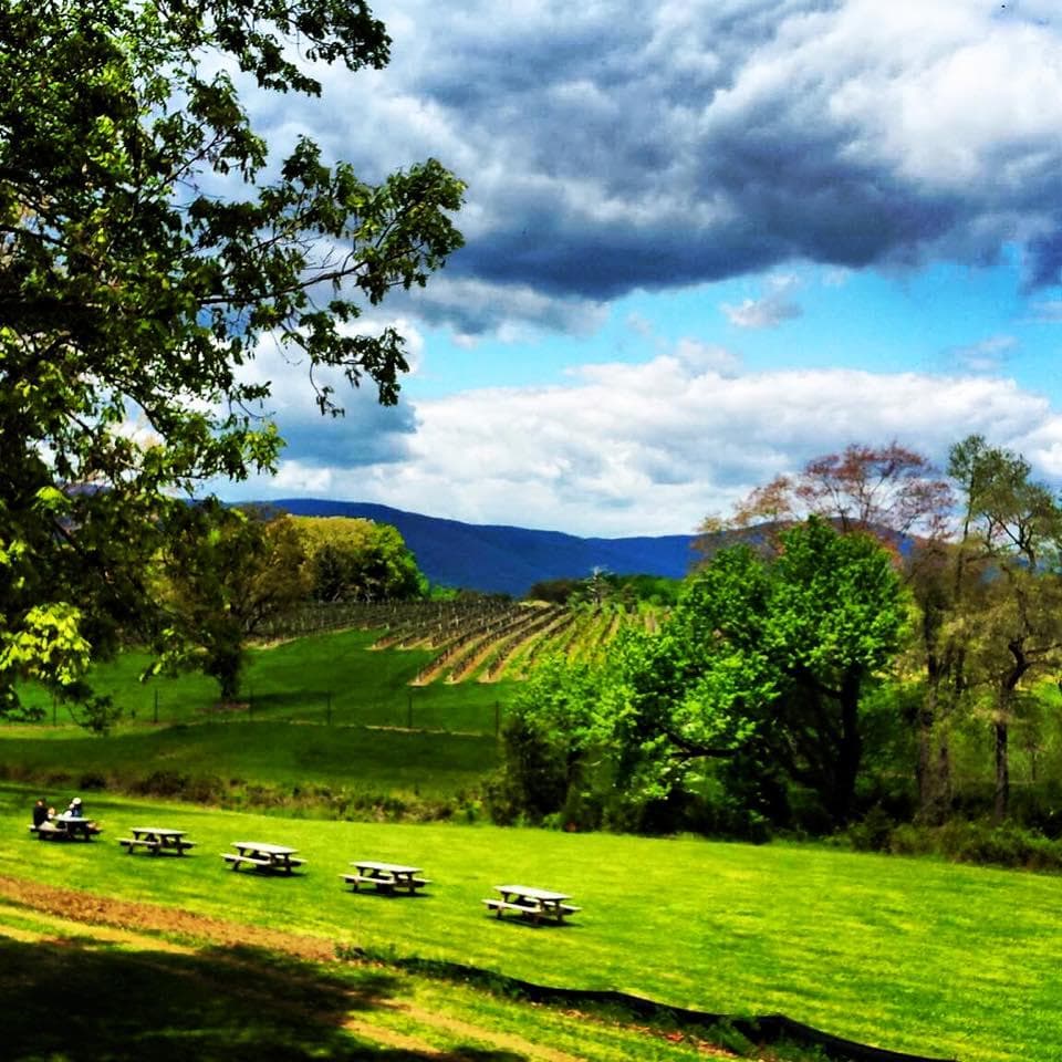 Grace Estate Winery team