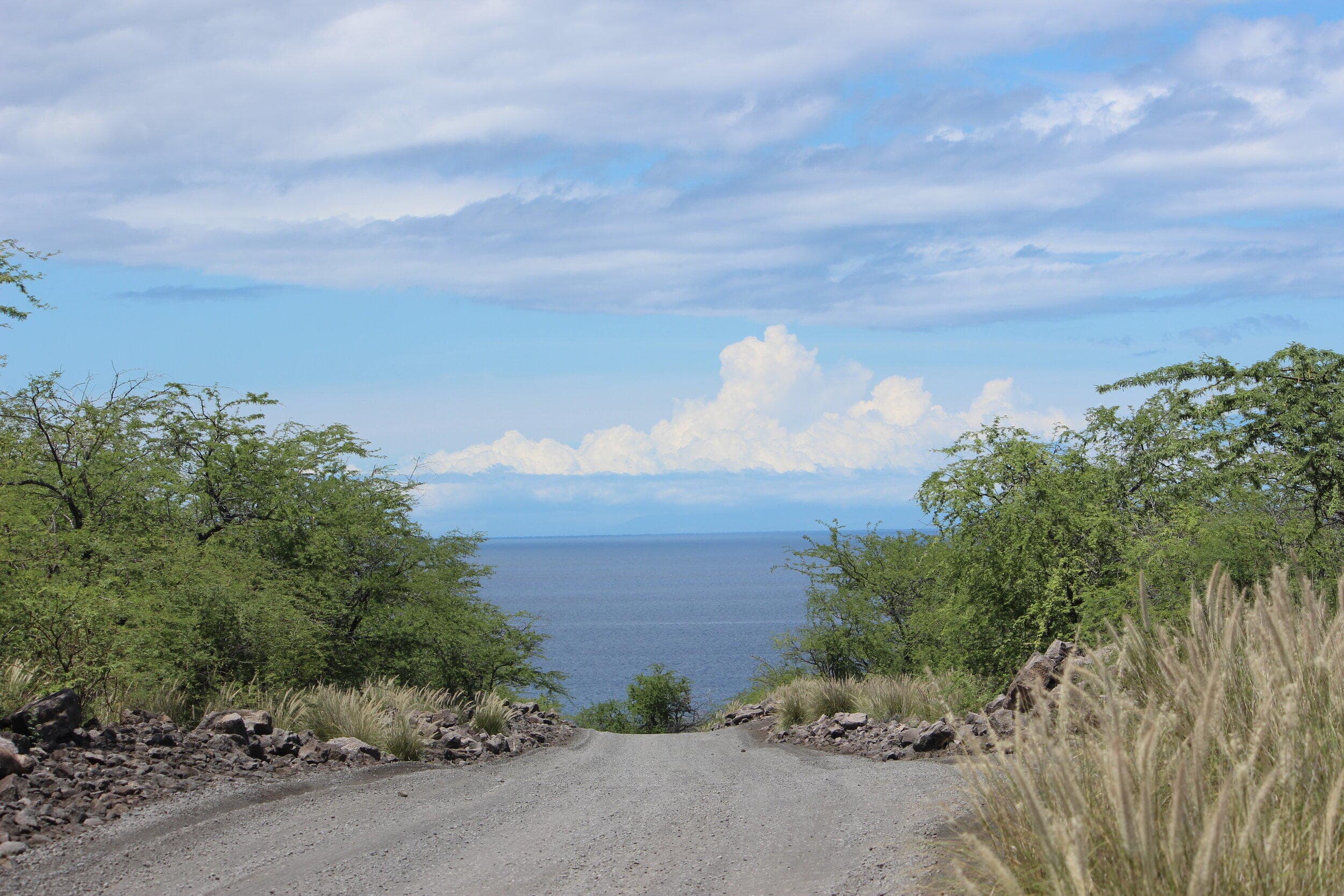 Dive and Drive: Private Big Island Adventure in Kailua-Kona
