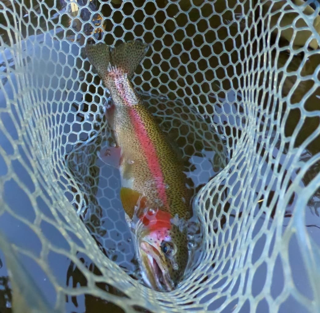 Tuolumne Basecamp Fly Fishing Adventures in Groveland, CA