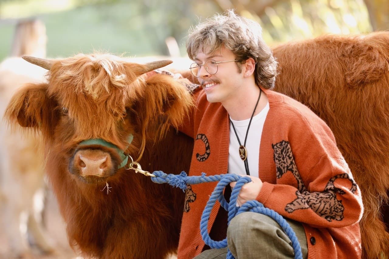 Quick Highland Cow Mini Photo Shoot in Grose Vale — 30-Minute Farm Session