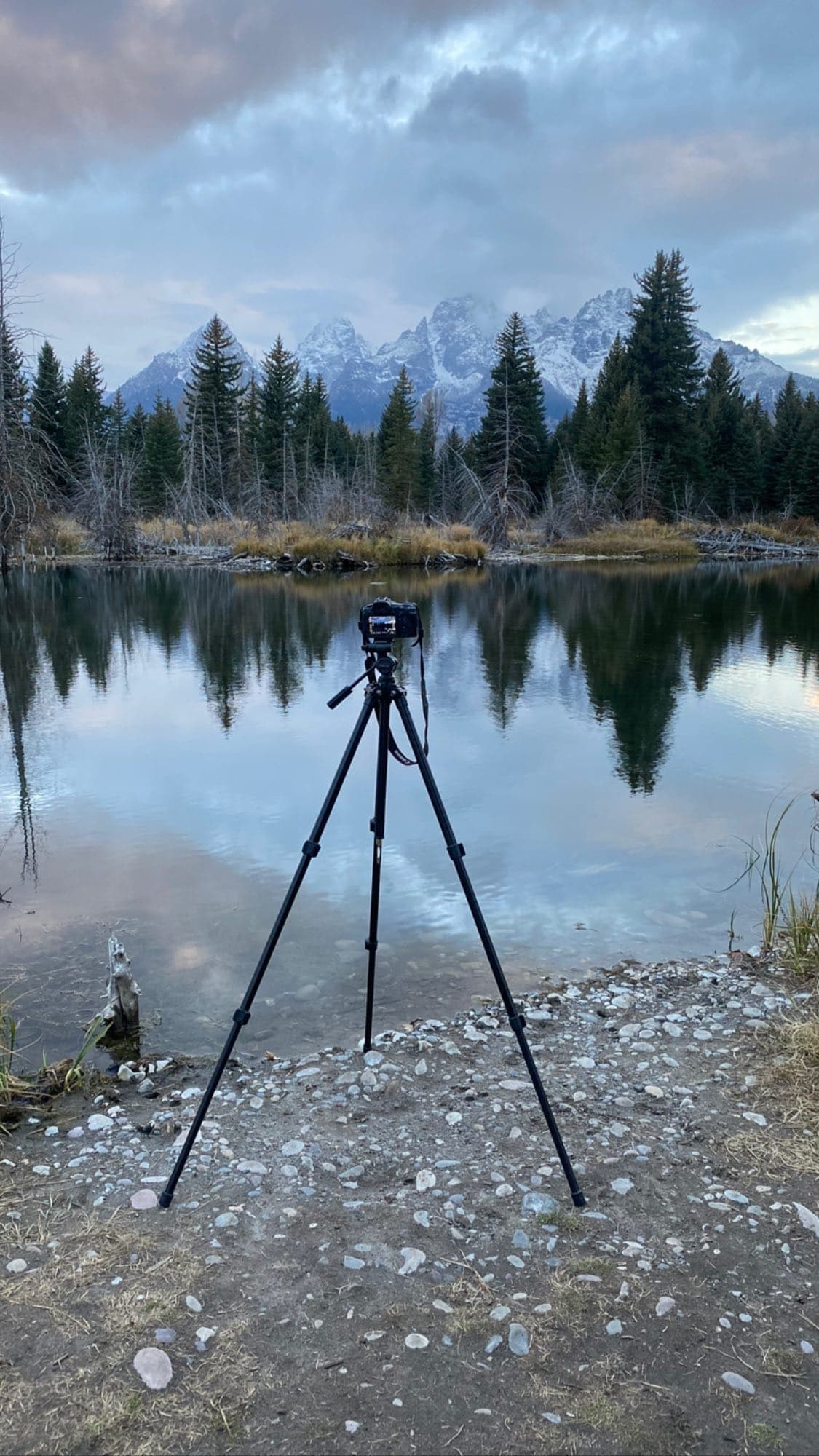Private Grand Teton Scenic & Wildlife Tour — Custom Wildlife Viewing from Jackson photo 3