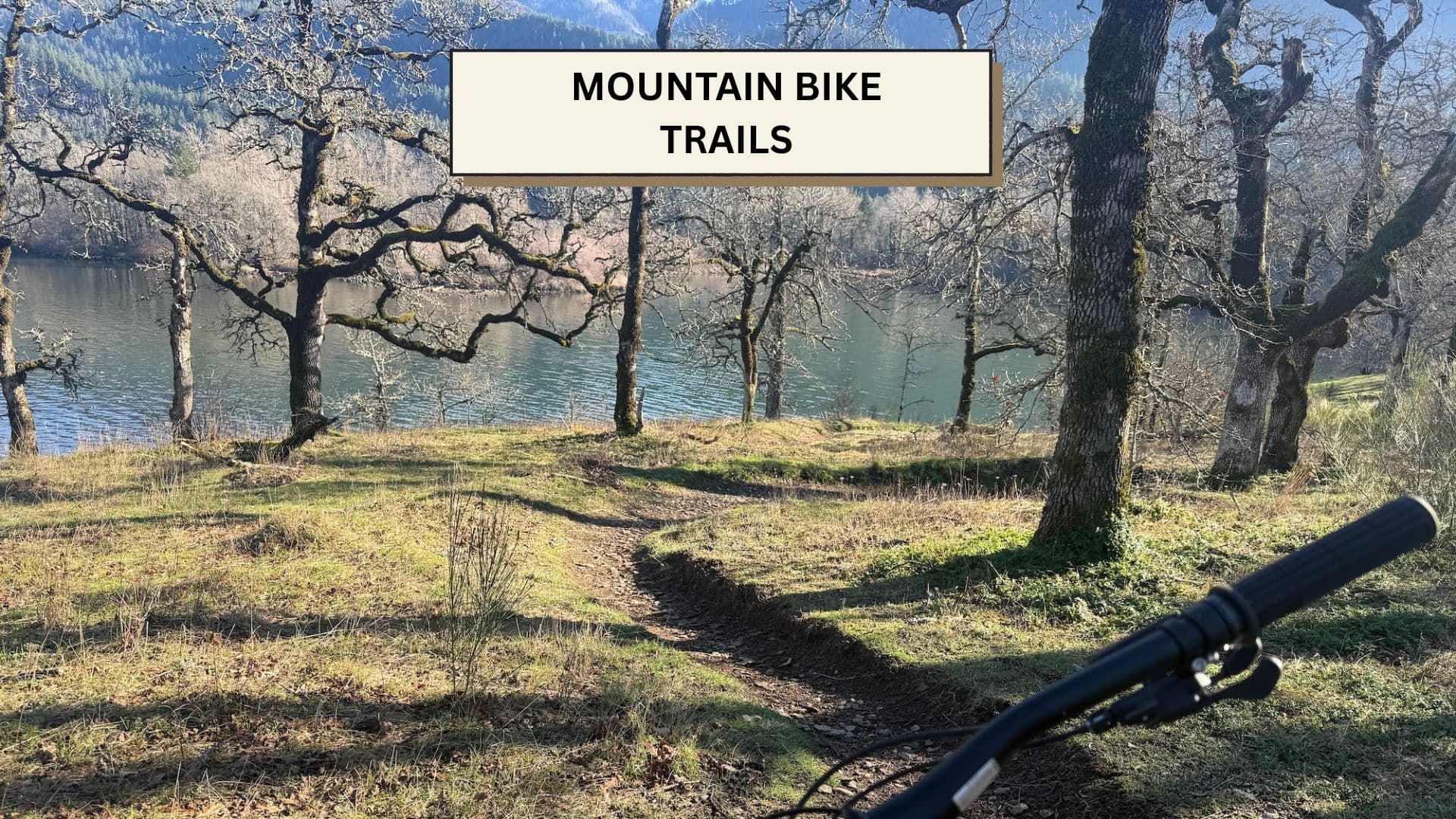 EasyCLIMB Mountain Bike Tour: Beginner Single-Track Ride in the Columbia River Gorge