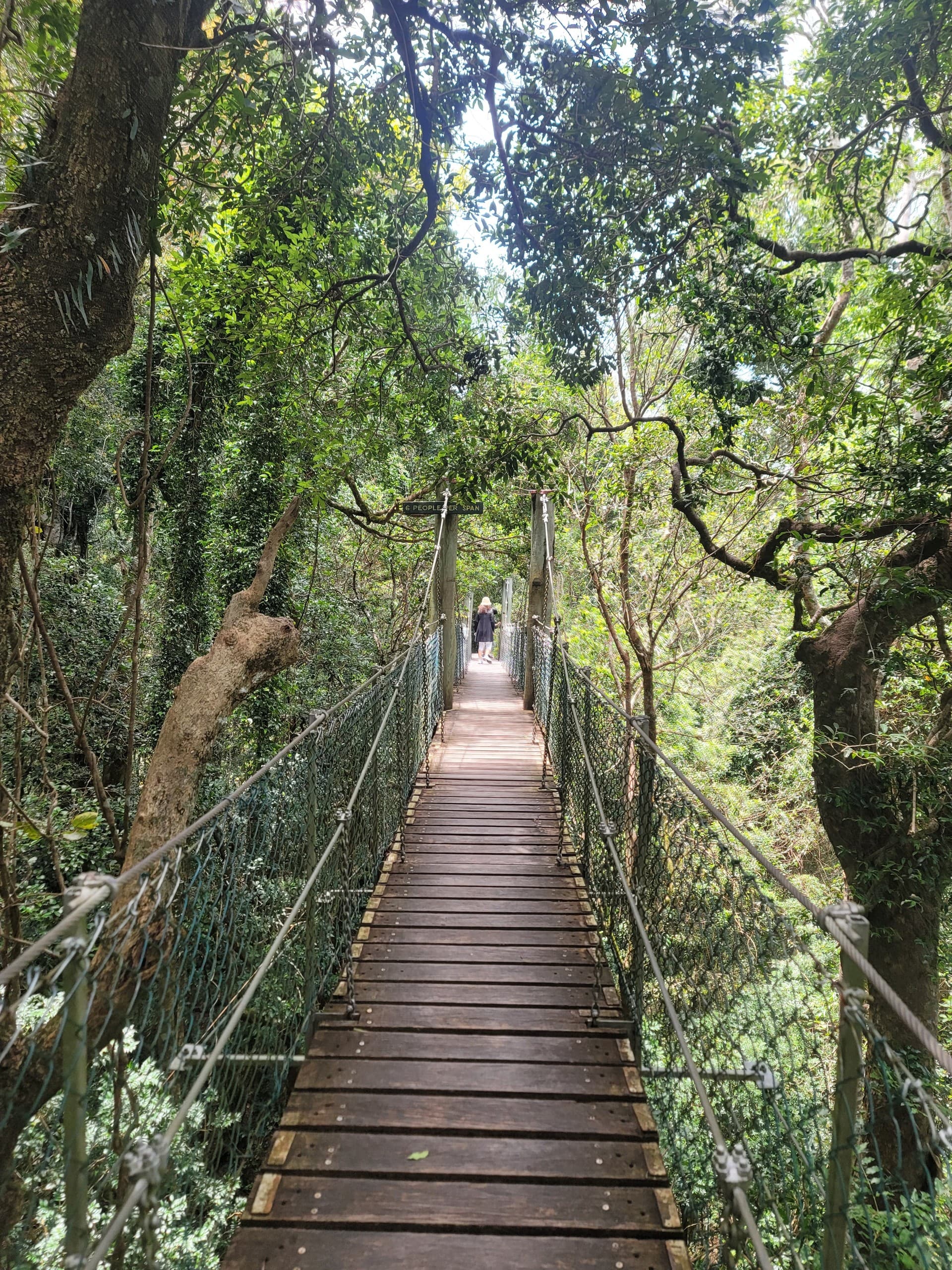 O’Reilly National Park & Tamborine Mountain: Canopy Walks, Alpacas and Wineries from Brisbane photo 3