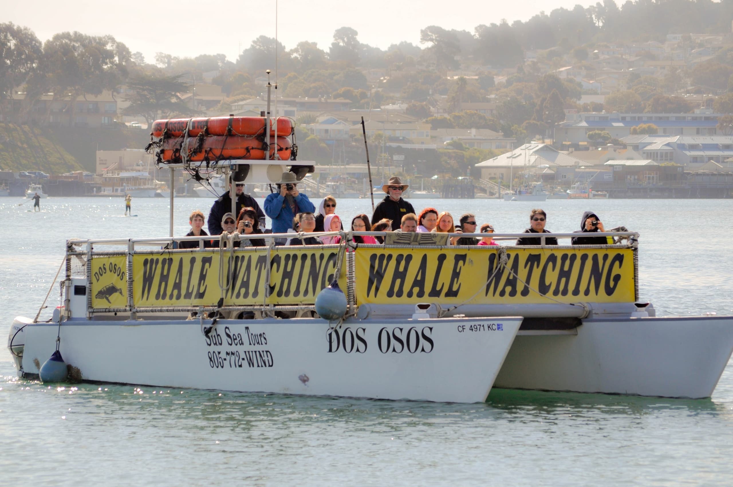 Bird Watching Harbor Cruise in Morro Bay, California