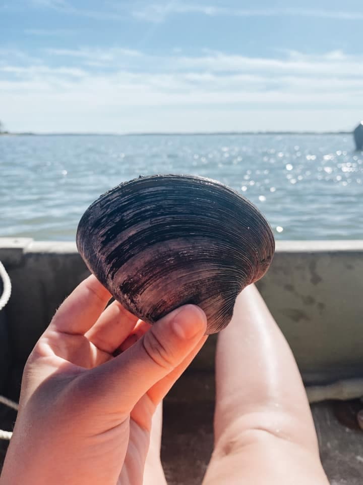 Hands-On Shellfish Adventure in Chincoteague: Dig Clams and Shuck Oysters with a Marine Biologist
