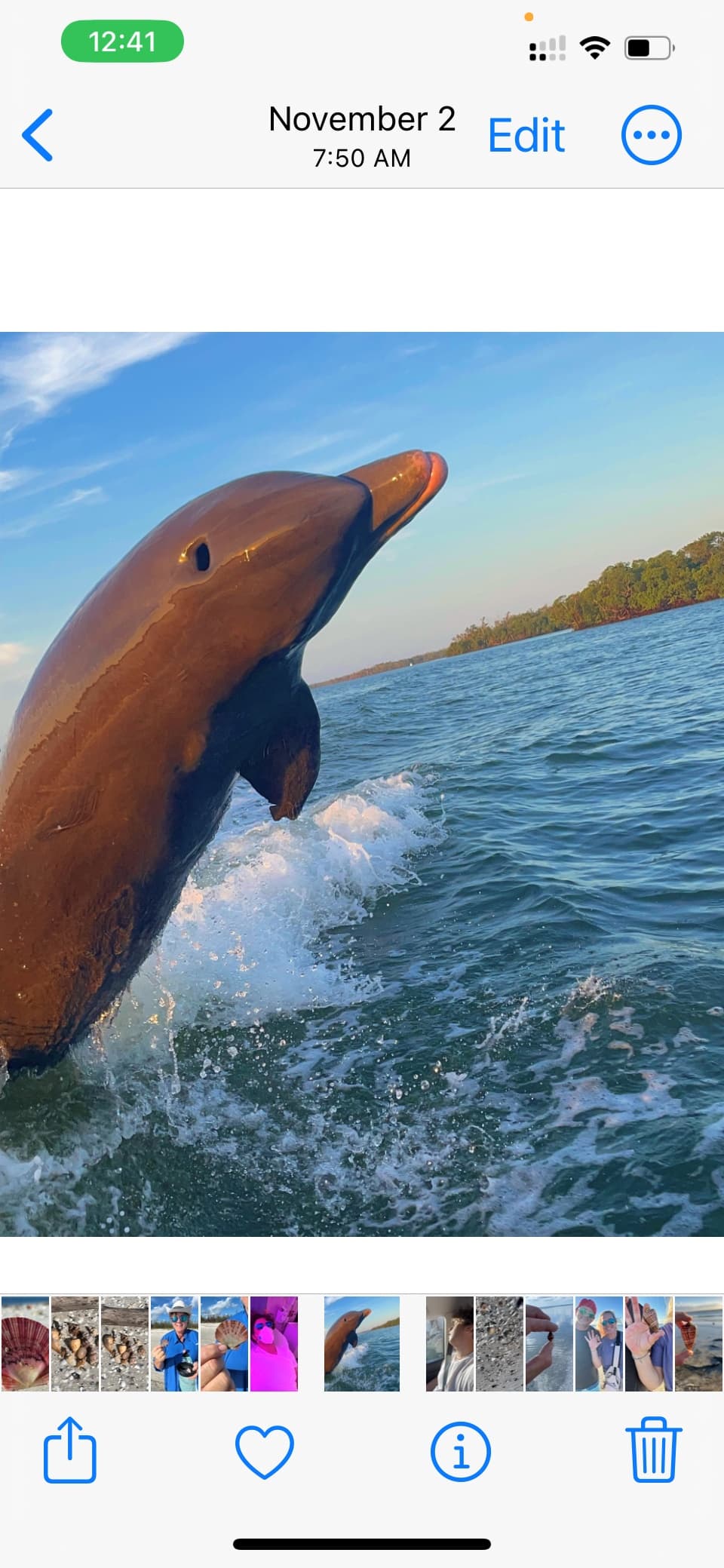 Leaping dolphin beside boat in open ocean waters