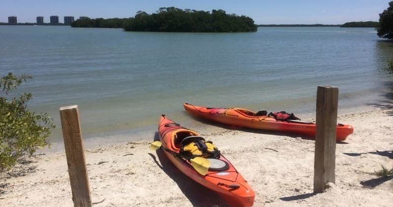 Kayaks resting on sandy beach by a calm bay and mangroves