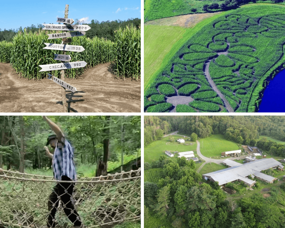 Collins Farm activities collage: corn maze, rope course, aerial view