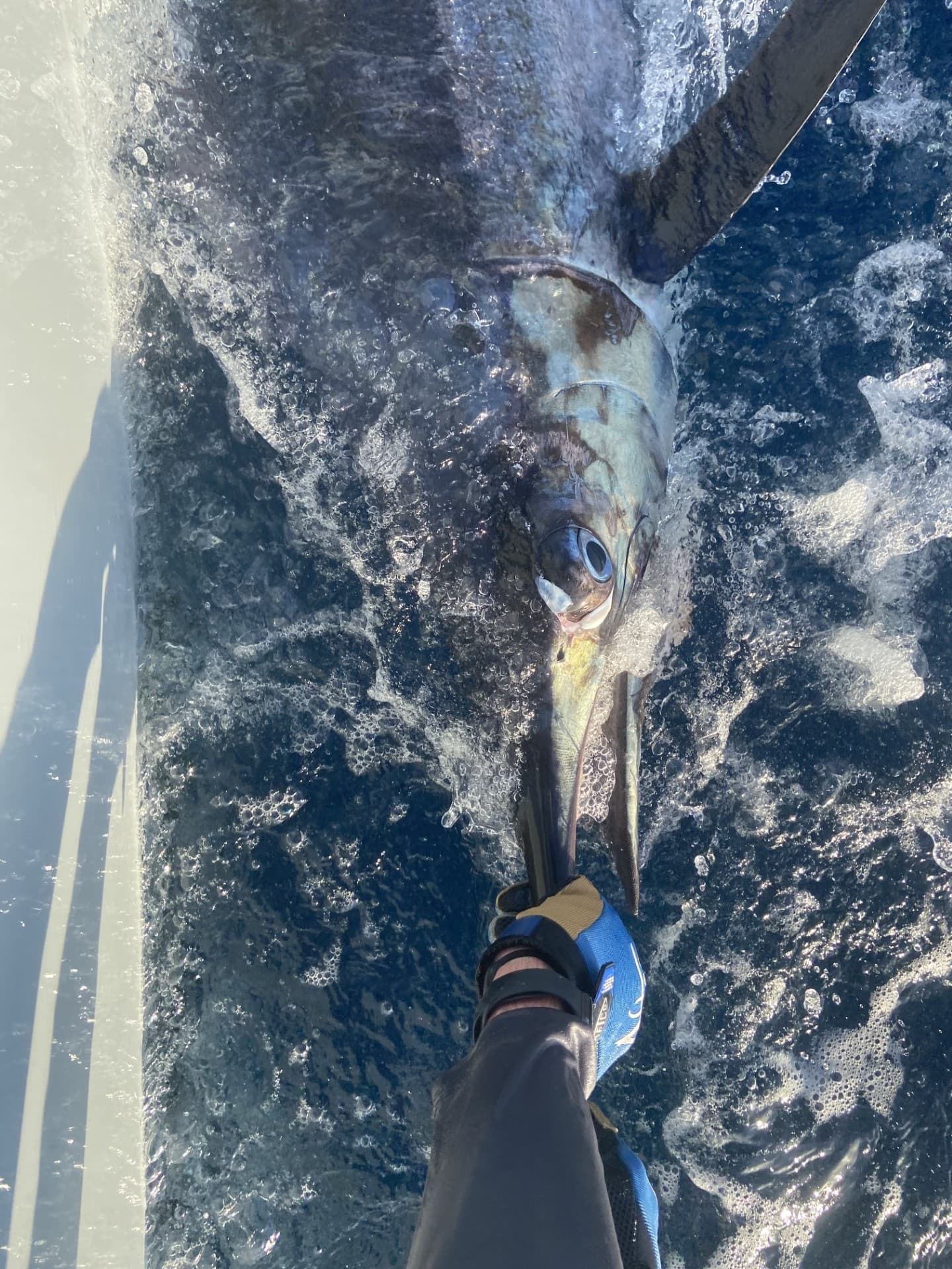 Riptide 8-Hour Marlin Charter: Offshore Marlin & Sailfish Fishing from St. Thomas photo 2