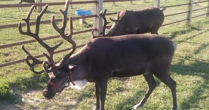 CTA Section Background Image