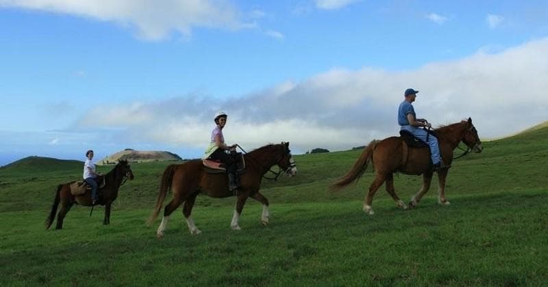 Private Morning Paniolo Ride: Explore Waimea’s Working Cattle Ranch on Horseback