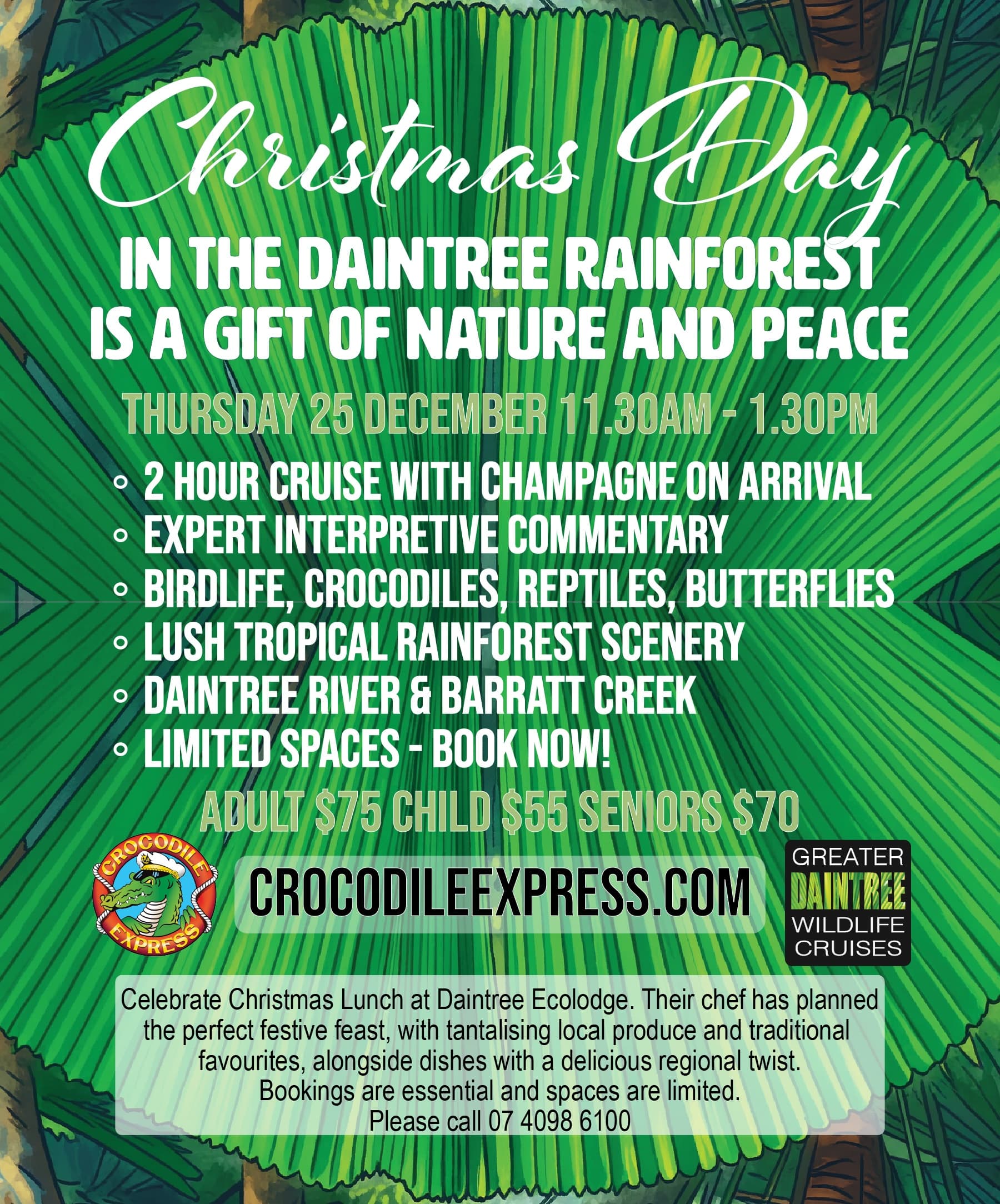 Christmas Day Daintree River Wildlife Cruise — 2-Hour Barratt Creek Cruise