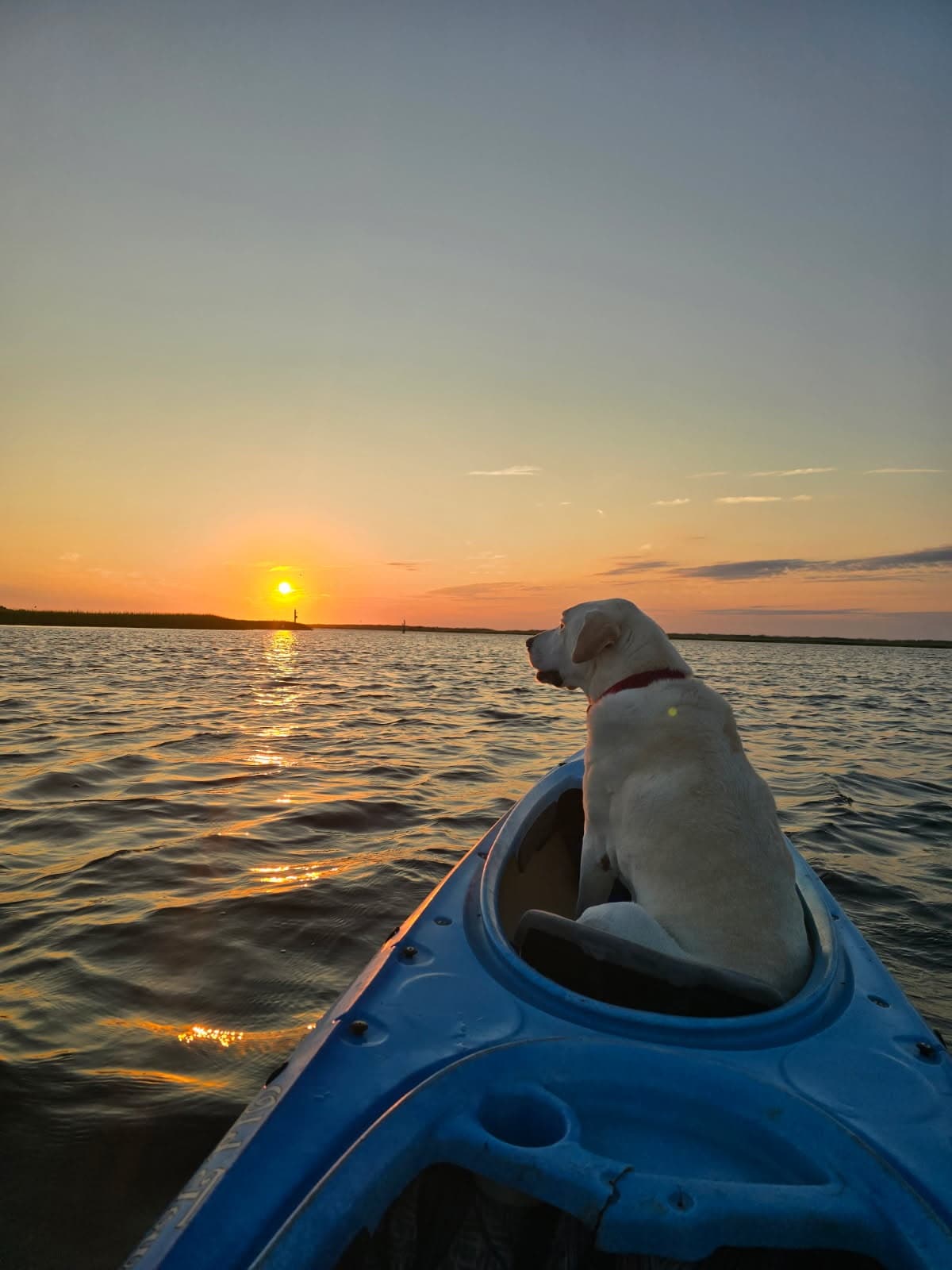 Dawn Paddle at Zeke's Island Reserve: Sunrise Kayak Tour from Kure Beach